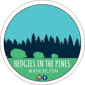 Hedgies in the Pines